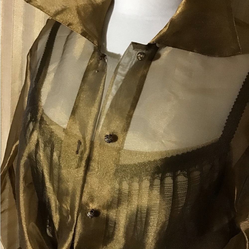 Sheer Metallic Gold Button-Up Blouse